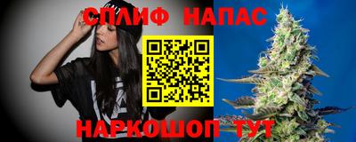 стаф Братск