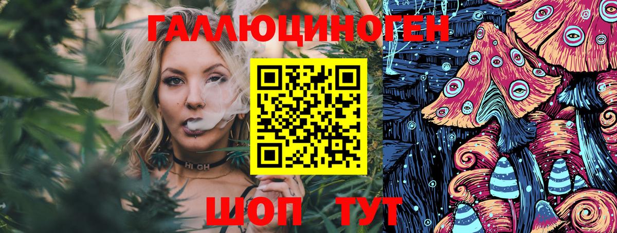 Ишимбай  Галлюциногенные грибы прущие грибы  Вход с VPN  Галлюциногенные грибы Psilocybine cubensis 